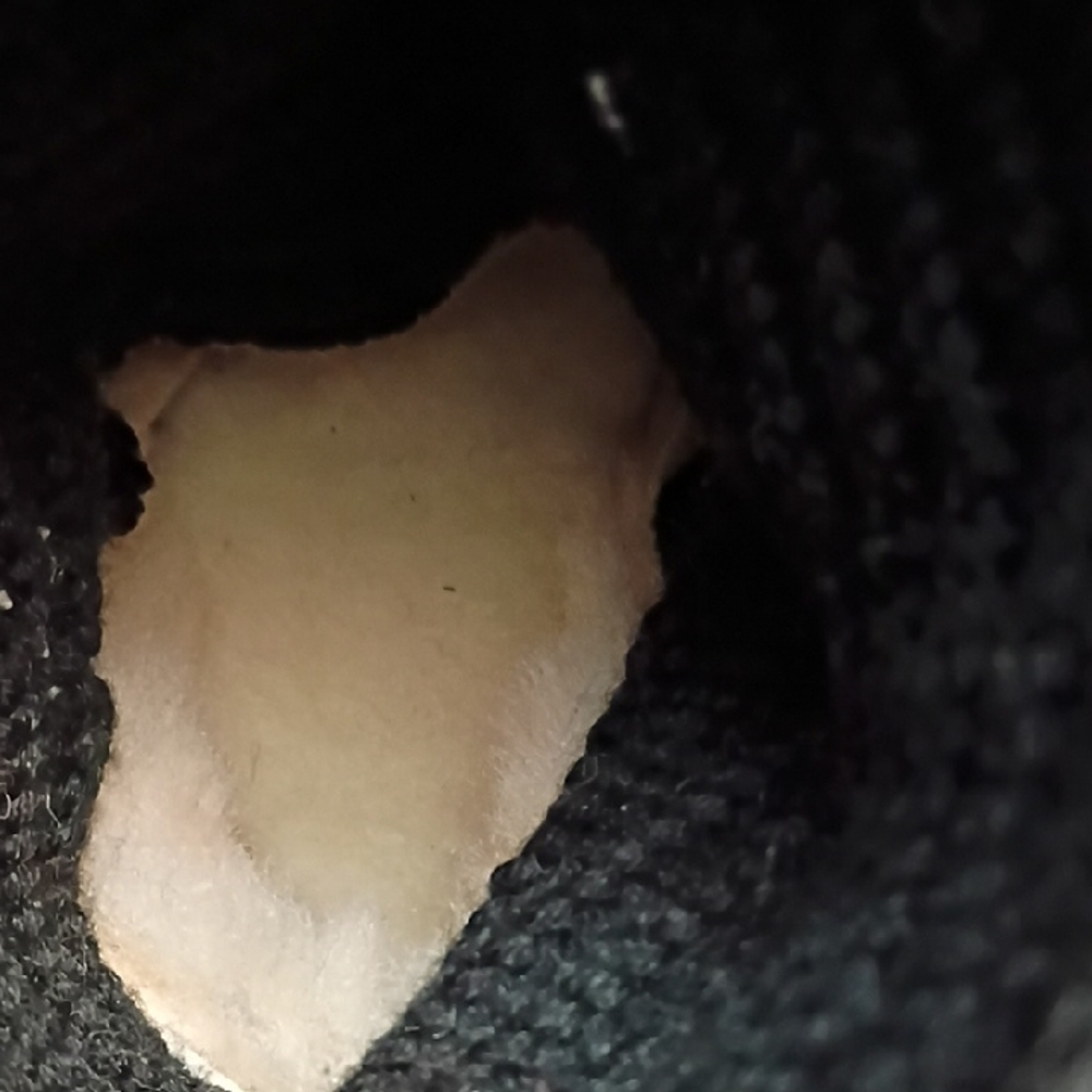 😍UGG Tall Cardy Black Knit Boots with 3 Button Detail - Picture 10 of 14
